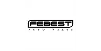 FEBEST FEBEST