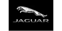 JAGUAR JAGUAR